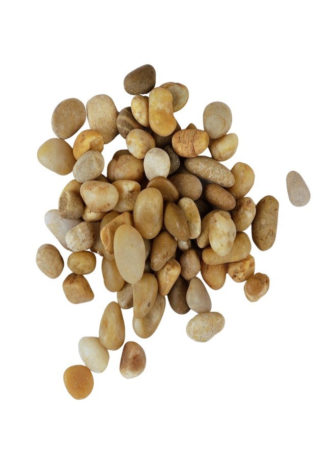 Premsons® Rough Decorative Pebbles - Biege Stones - For Aquariums Garden Lawn Plant Pots Vases Filler Home Office Decor Fish Tank - Smooth & Round River Rocks - Small Size 2.5-4 cm - 1kg Pack - Image 1